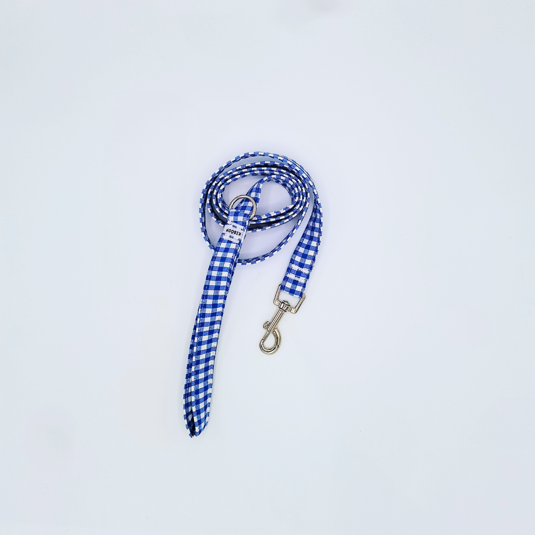 Correa Vichy Azul