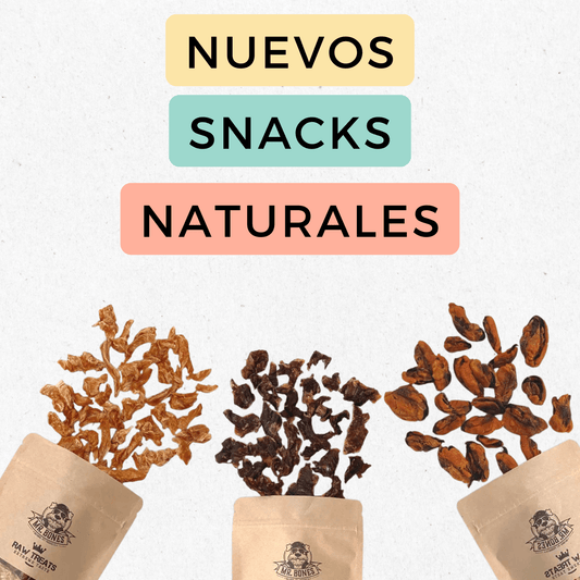 Snacks Naturales - Kiboop Store