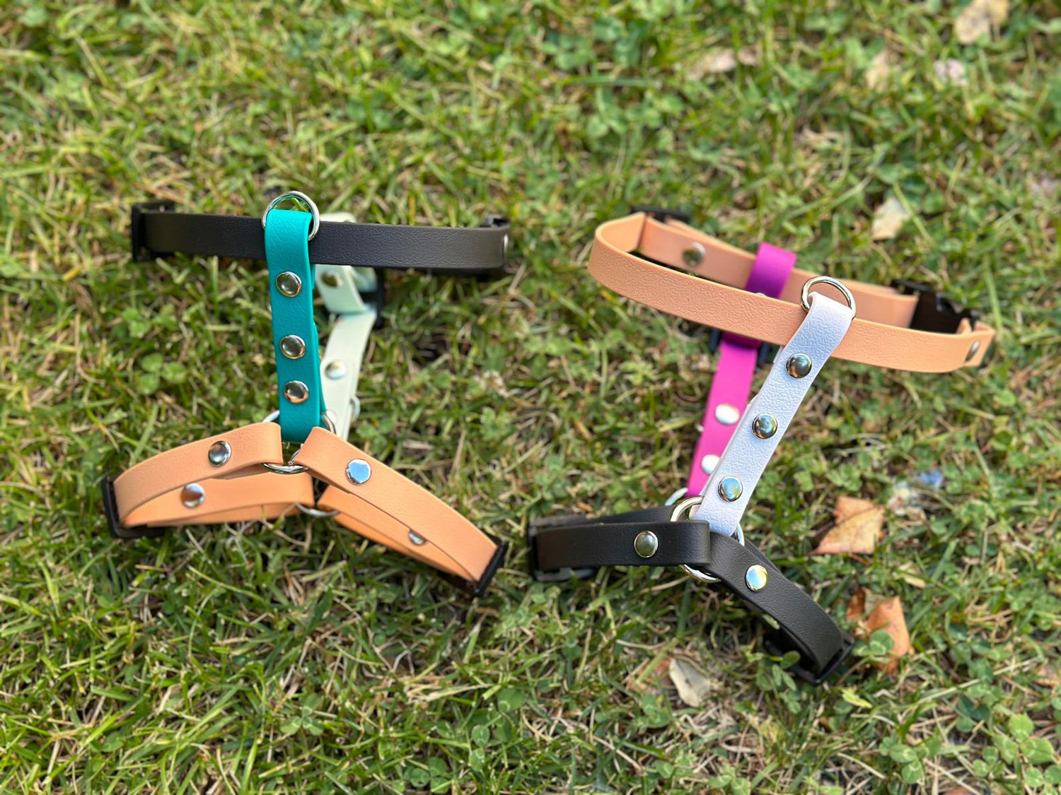 ARNESES IMPERMEABLES - Kiboop Store