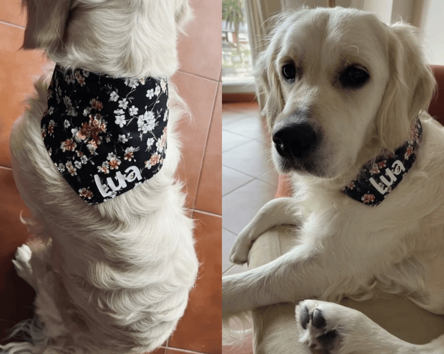 Bandanas de algodón - Kiboop Store