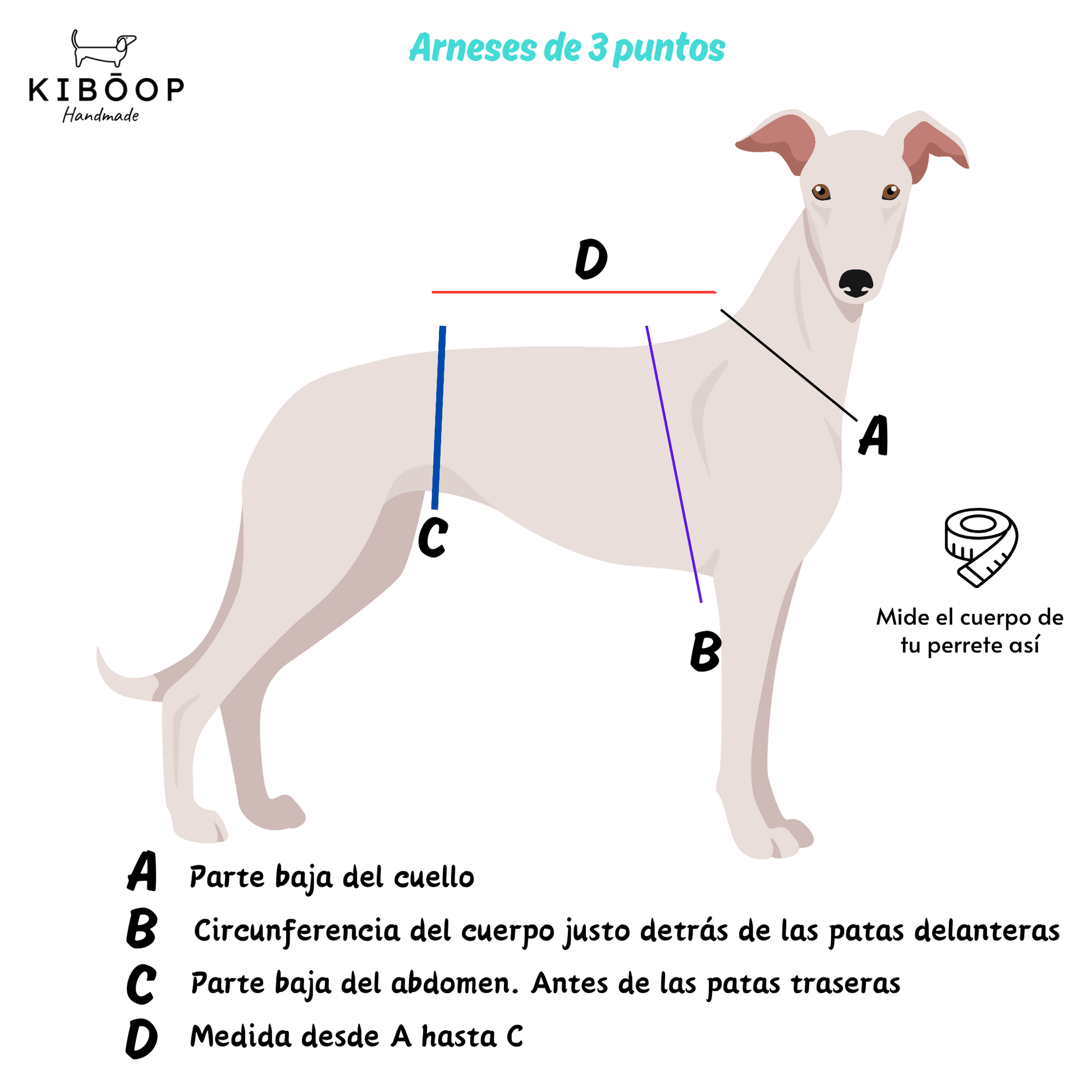 Arnés de 3 puntos - Kiboop Store