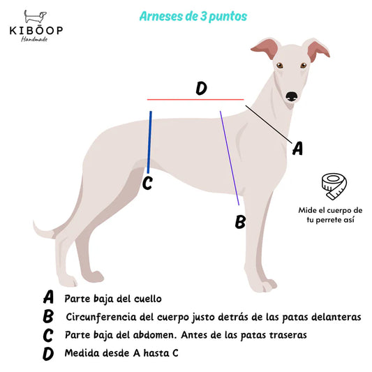 Arnés de 3 puntos impermeable